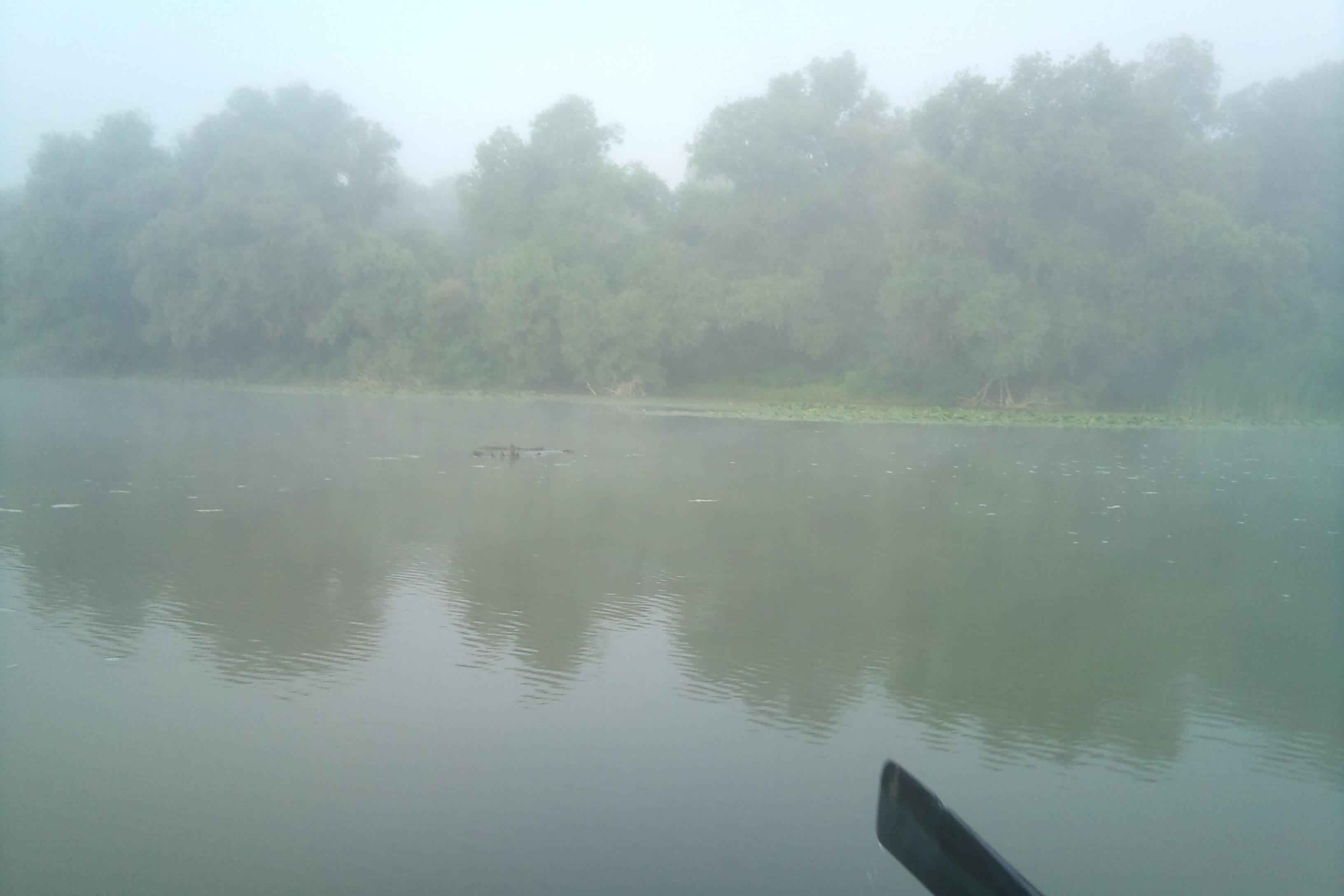 DELTA 2011  MILA 23 - DSC00163.JPG